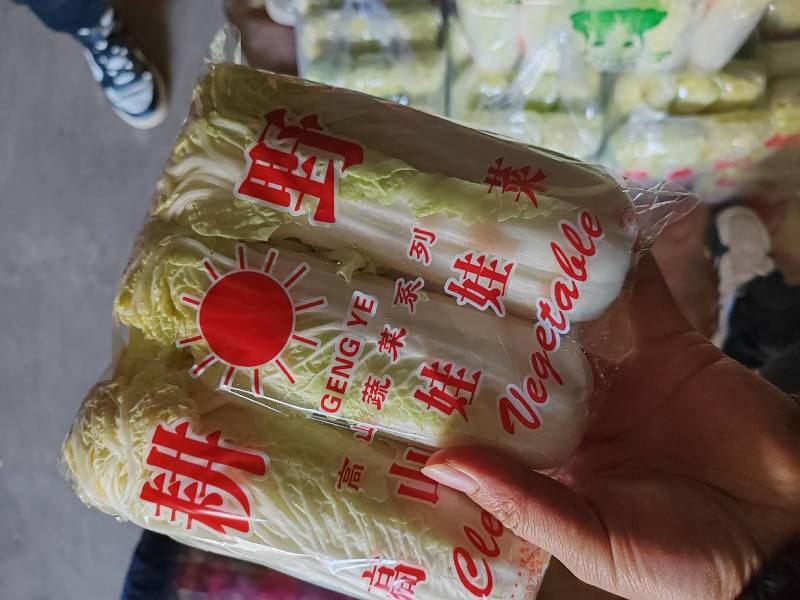 大量供应精品小娃娃菜