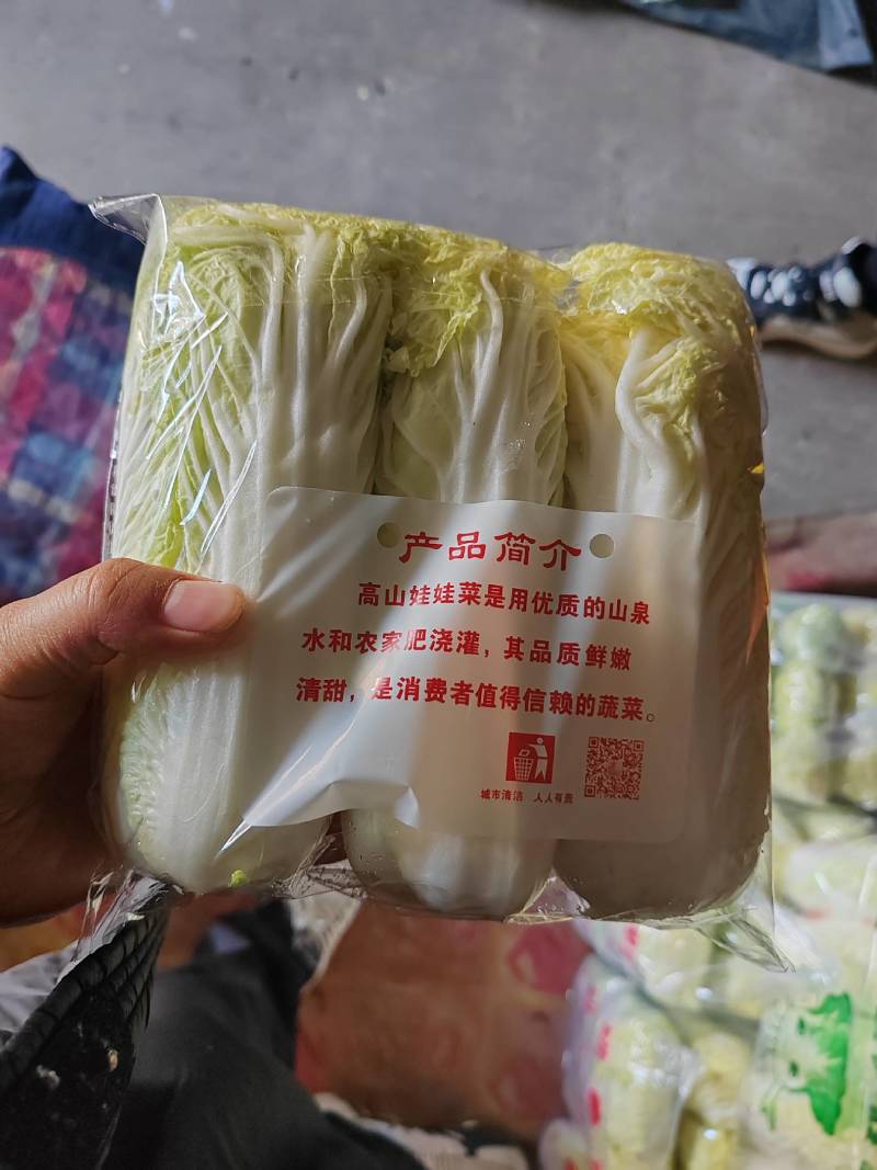 大量供应精品小娃娃菜