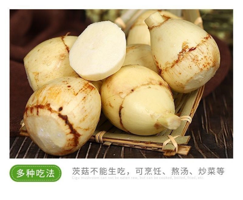 新鲜茨菇