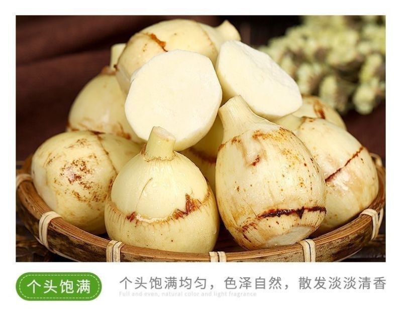 新鲜茨菇