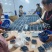 贵州省黔东南麻江县灿烂蓝莓鲜果工厂直供基地直发可看货发货