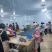贵州省黔东南麻江县灿烂蓝莓鲜果工厂直供基地直发可看货发货