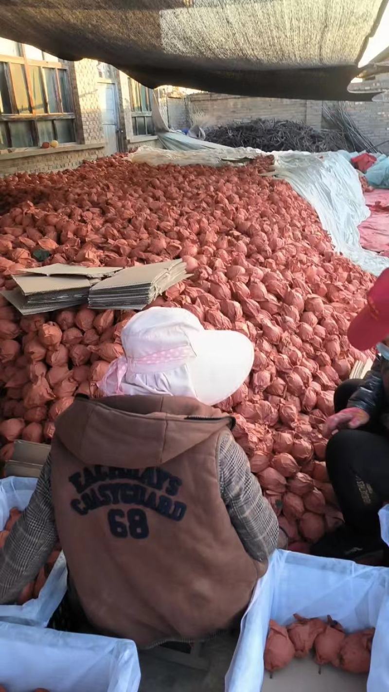 热卖！隰县玉露香梨口感好销量高全国发货一条龙服务