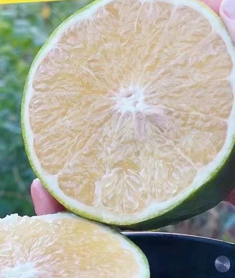 西柚