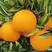 四川金堂脐橙，产地供货，量大价优，欢迎联系