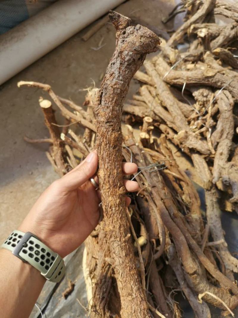 【包邮】甘草甘肃野生大甘草片斜片甘草批发价包邮野生甘草片