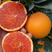 中华红红橙大量上市果园直供诚信经营全国发货欢迎来电咨询