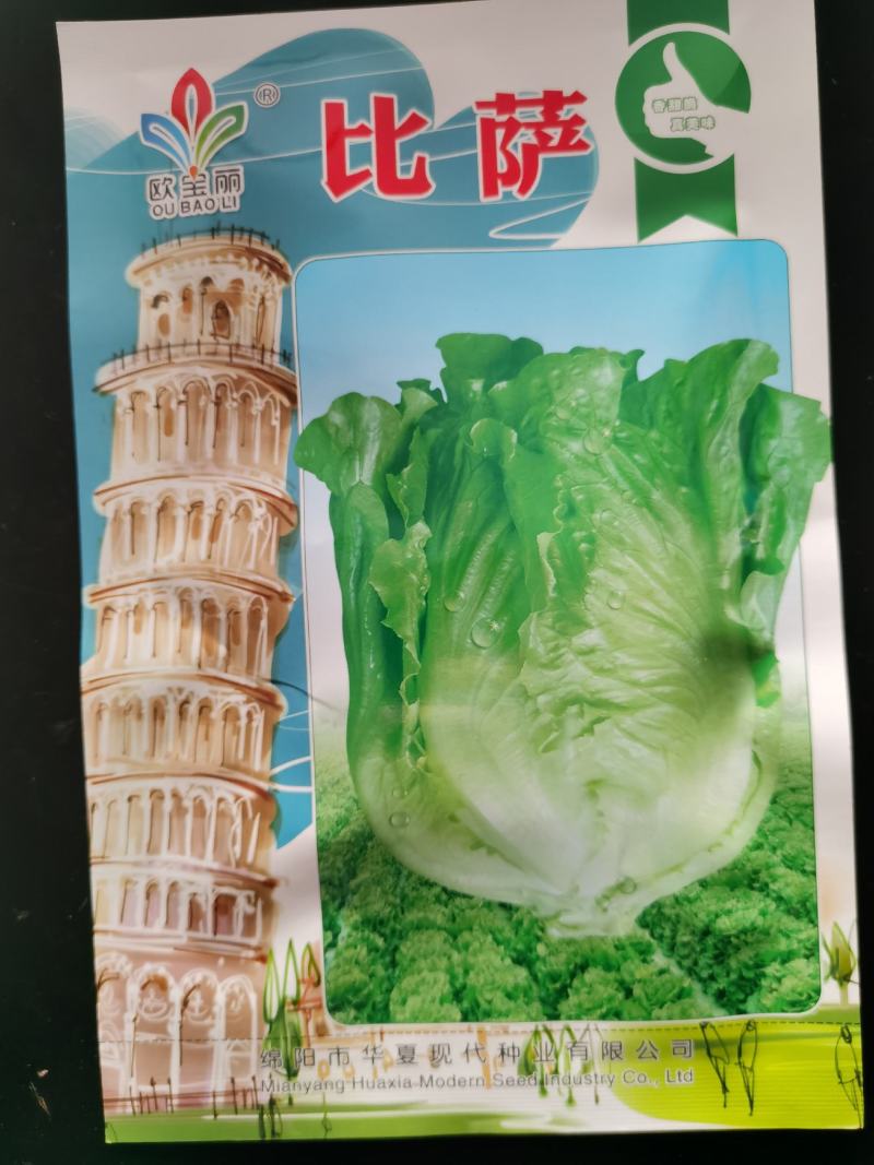 全年耐抽意大利耐热耐寒耐抽苔品质佳