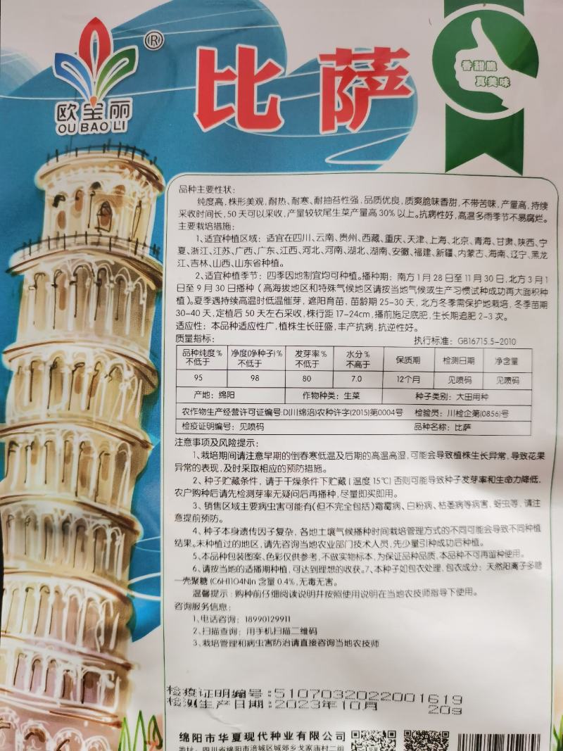 全年耐抽意大利耐热耐寒耐抽苔品质佳