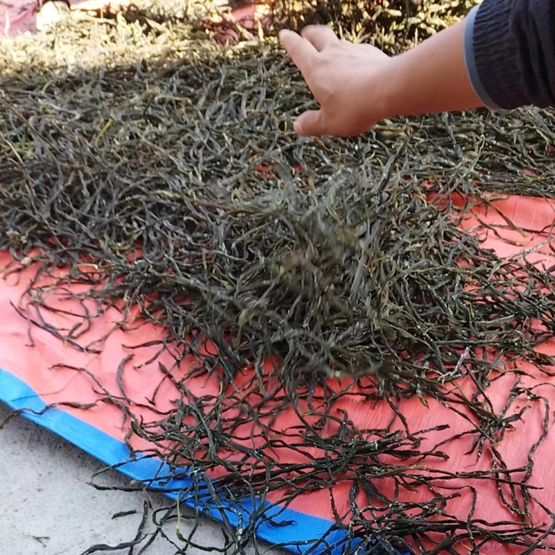 精品脱水干豆角，大量有货，产地直发，保质保量欢迎选购