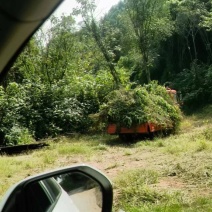 跑山草饲羊