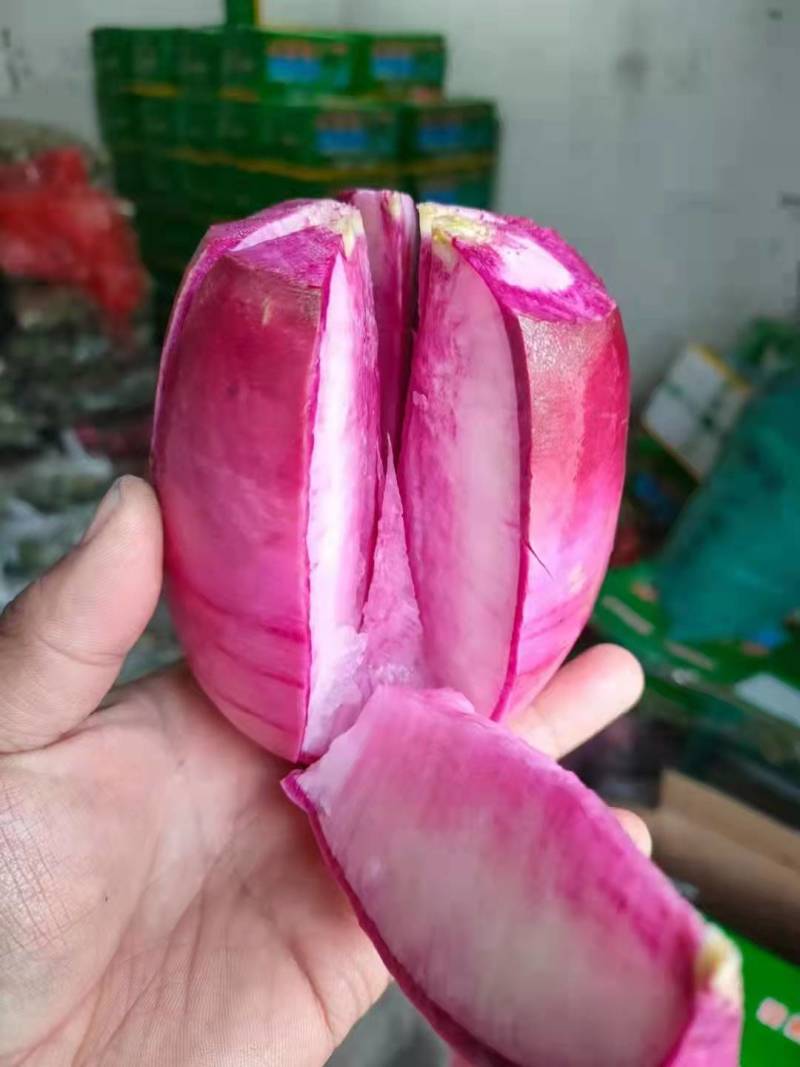 奶油冰糖心冰糖心萝卜产地直供一手货源