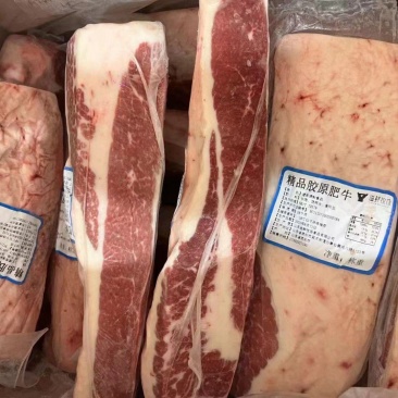原切胶原肥牛精品美式肥牛牛胸叉货源充足产地直销