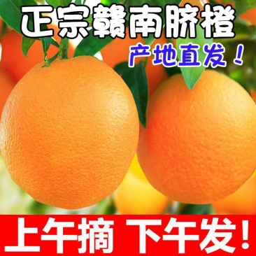 正宗赣南脐橙新鲜赣州橙子江西甜橙水果非冰糖果冻橙手剥鲜橙