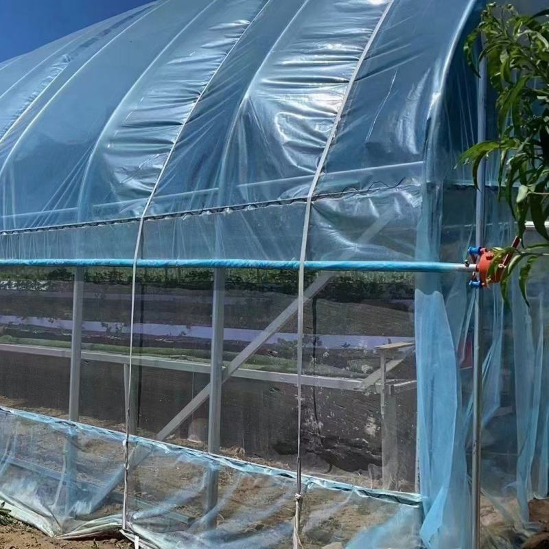 温室大棚大棚钢管种植大棚养殖大棚
