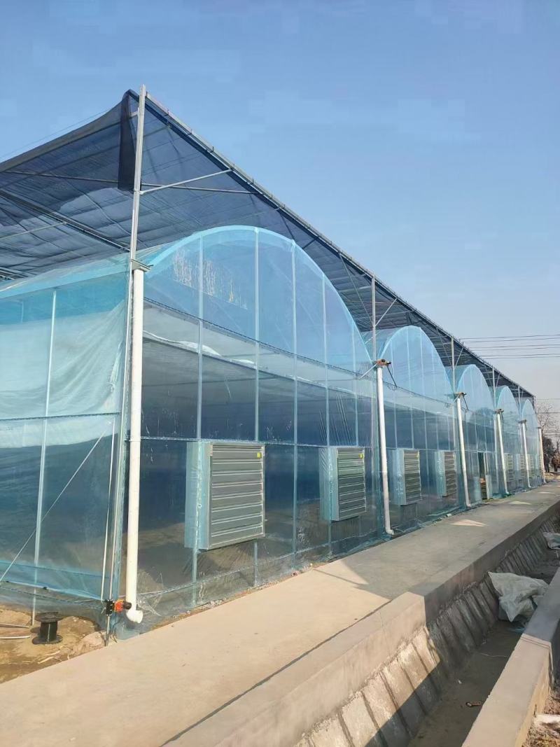 温室大棚大棚钢管种植大棚养殖大棚