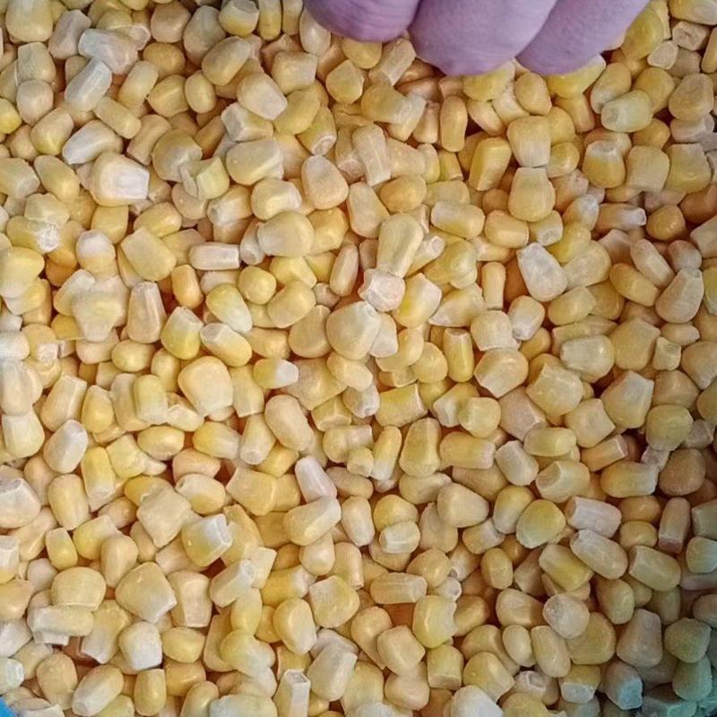 水果玉米粒903