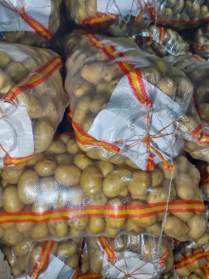 土豆种薯：纯度高亩产高南北适种范围广，产地直发，质优价廉
