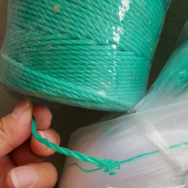 农用防老化吊蔓绳吊秧绳大棚用塑料绳子黄瓜西红柿绑蔓蔬菜
