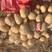 希森6号土豆:黄皮大黄心，沙土种植，颜色亮表皮光滑。
