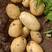 希森6号土豆:黄皮大黄心，沙土种植，颜色亮表皮光滑。