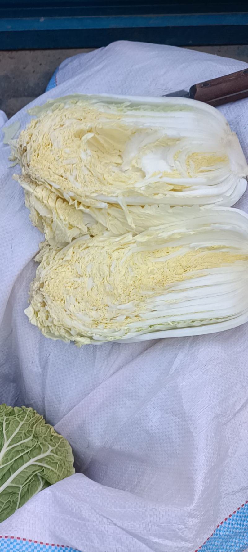 周口娃娃菜上市品相好价格优美电商商场档口货量多可商