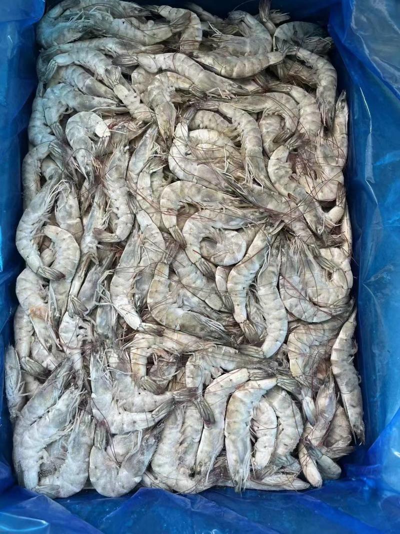 南美白对虾全规格盐冻1.5/1.6524斤大板