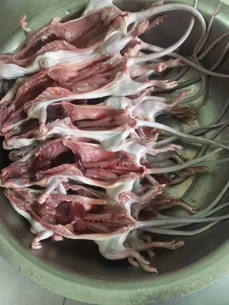 产地批发，老鼠干，田鼠干，山鼠干