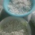 蚕茧