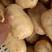 精品沃土5号土豆:沙地货颜色个头薯型三优，质优价廉。