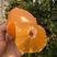 橙子，纽荷尔脐橙
