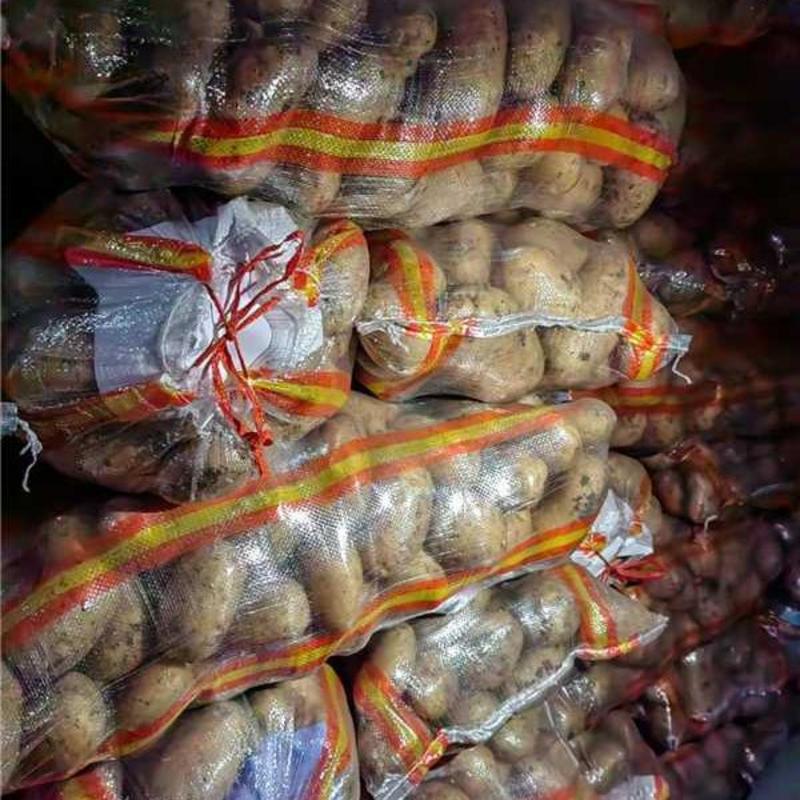 精品土豆内蒙古土豆货源充足量大从优质量保证欢迎咨询