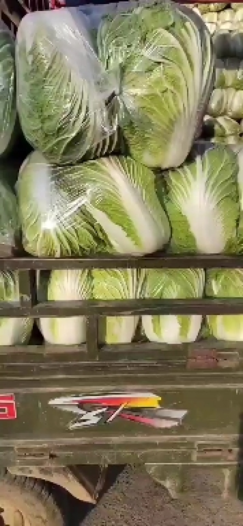 精品大白菜，万亩蔬菜基地，大量上市中，欢迎新老顾客下单，