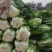 精品大白菜，万亩蔬菜基地，大量上市中，欢迎新老顾客下单，