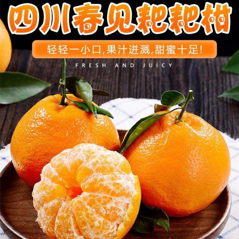 甄选四川春见耙耙柑，产地直发诚信合作，致电留言有优惠。