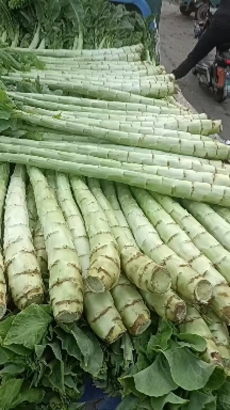 精品莴笋杆子，大量现货价格不高，保质保量发往全国各地，