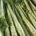 精品莴笋杆子，大量现货价格不高，保质保量发往全国各地，
