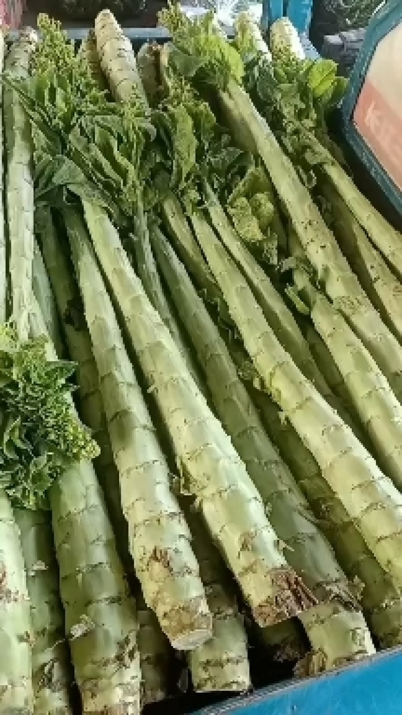 精品莴笋杆子，大量现货价格不高，保质保量发往全国各地，