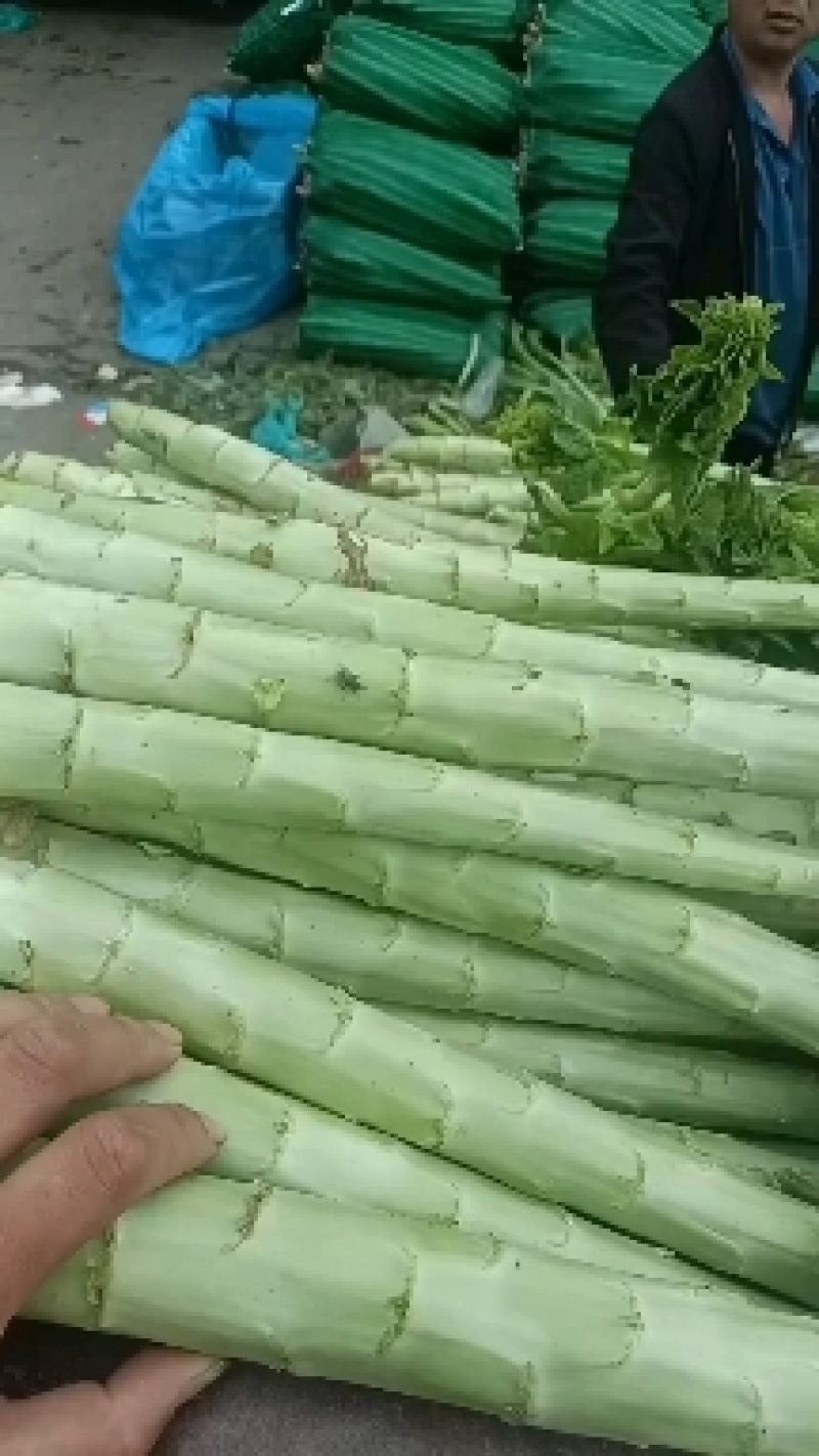 精品莴笋杆子，大量现货价格不高，保质保量发往全国各地，