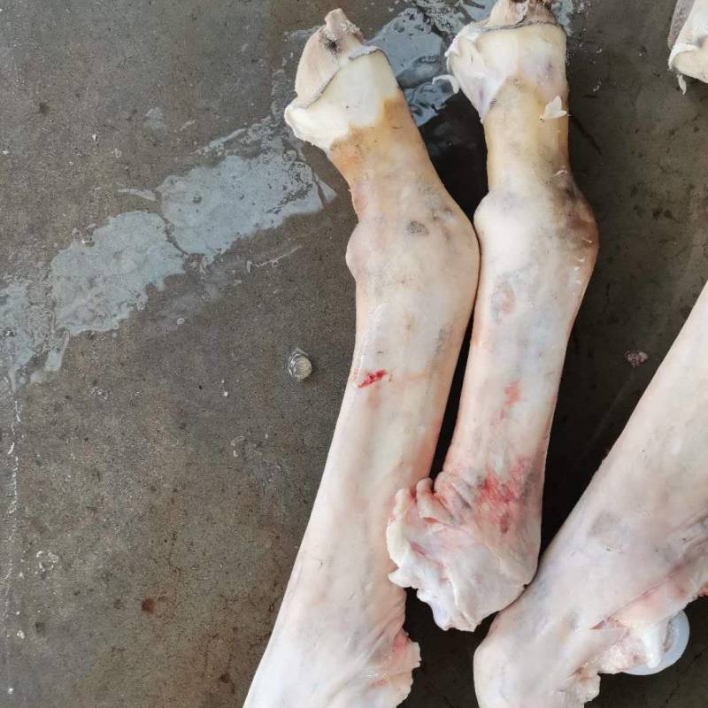 河北优质纯水退驴蹄，大量供应品质保障，可视频看货