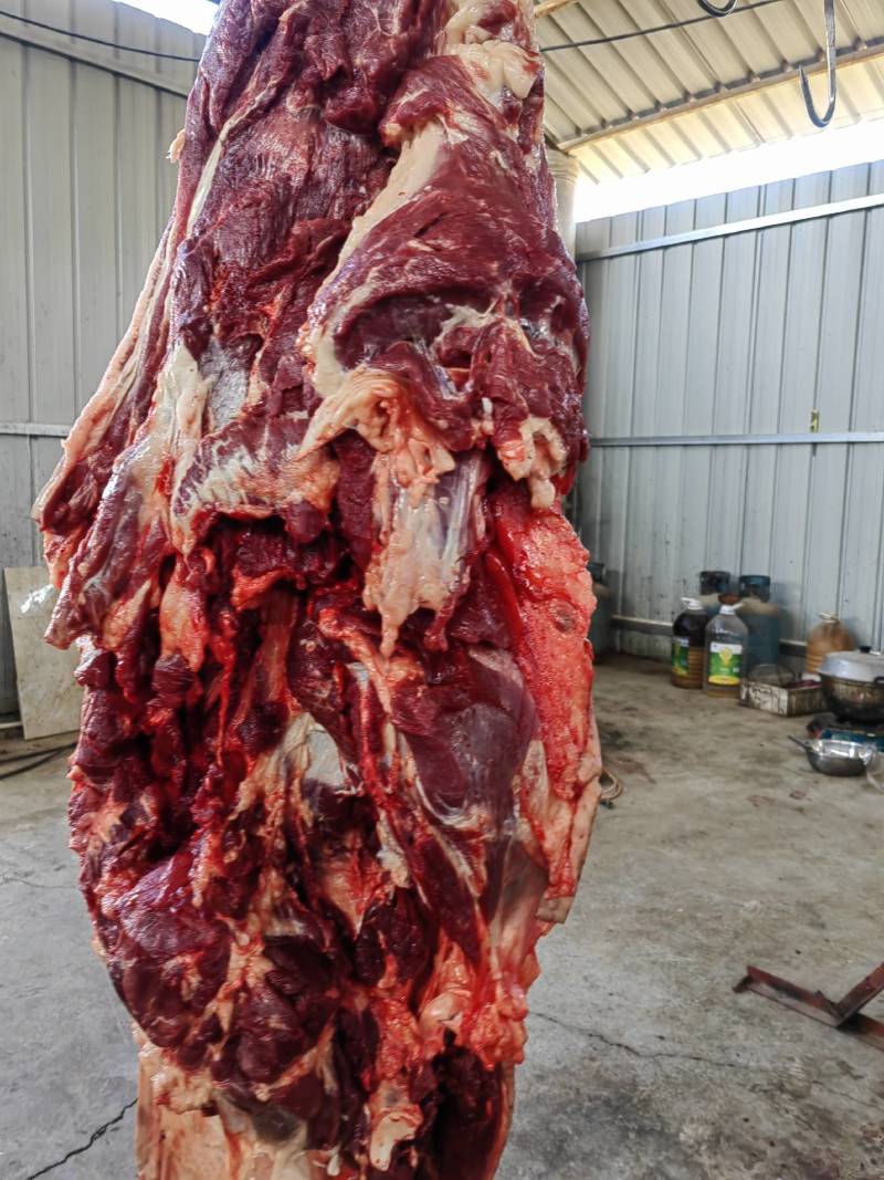 河北新鲜驴肉纯干驴肉正宗无注水自家屠宰场