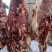 河北新鲜驴肉纯干驴肉正宗无注水自家屠宰场