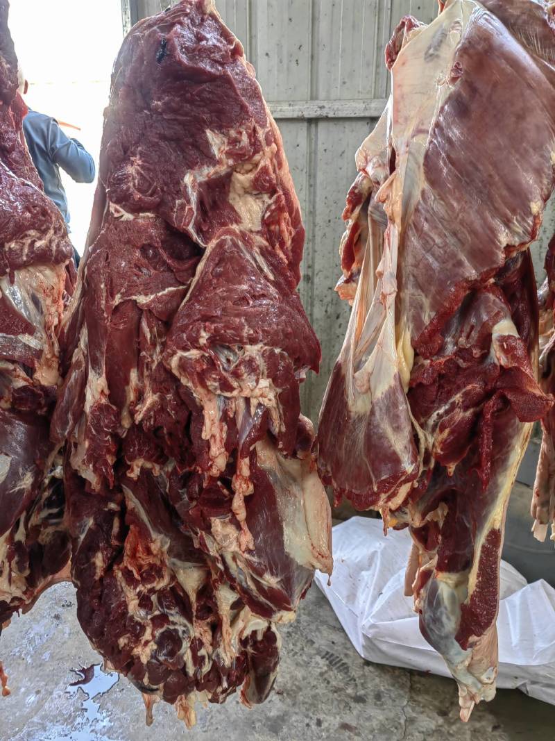 河北新鲜驴肉纯干驴肉正宗无注水自家屠宰场