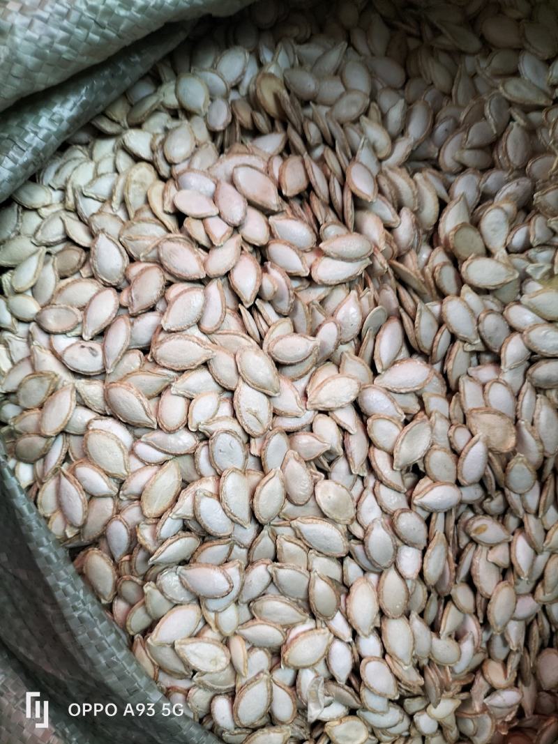 贵州晒干南瓜籽仁厚饱满粒粒爽脆品质保证量大从优