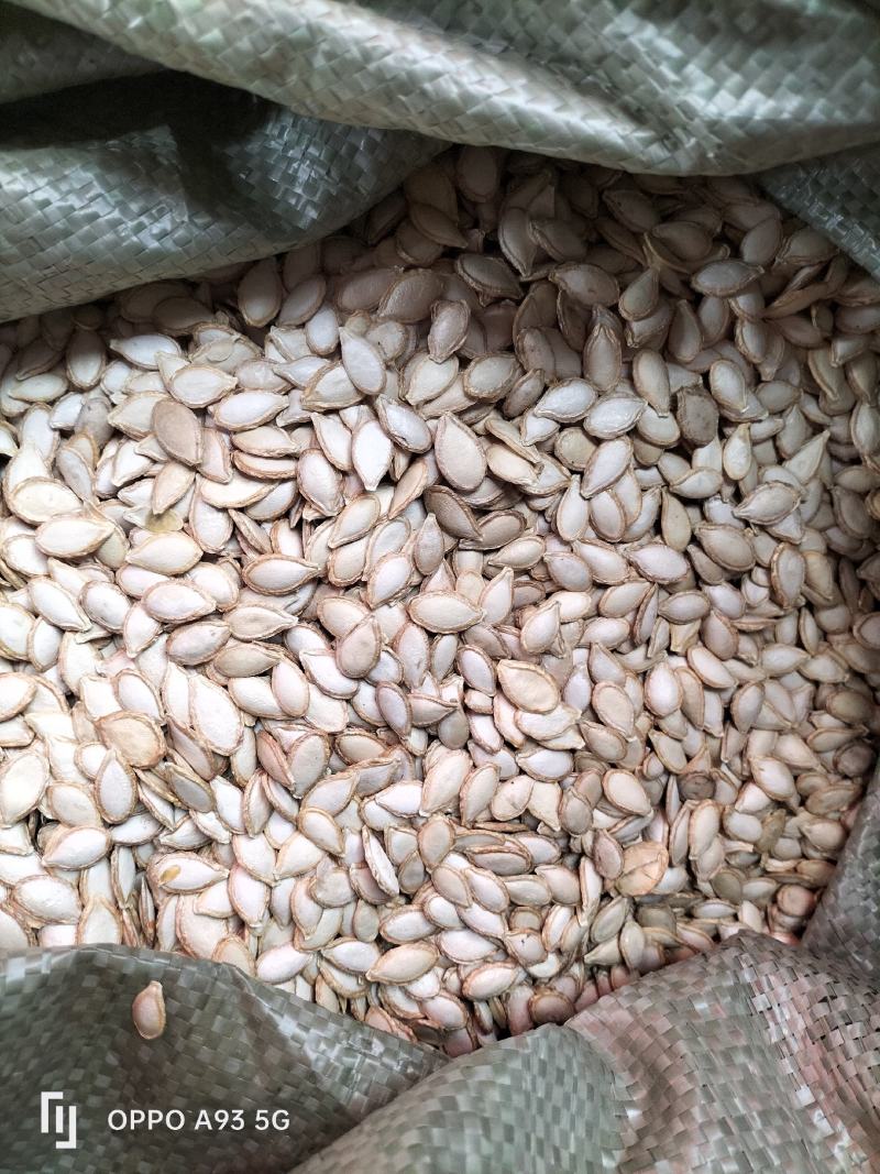 贵州晒干南瓜籽仁厚饱满粒粒爽脆品质保证量大从优