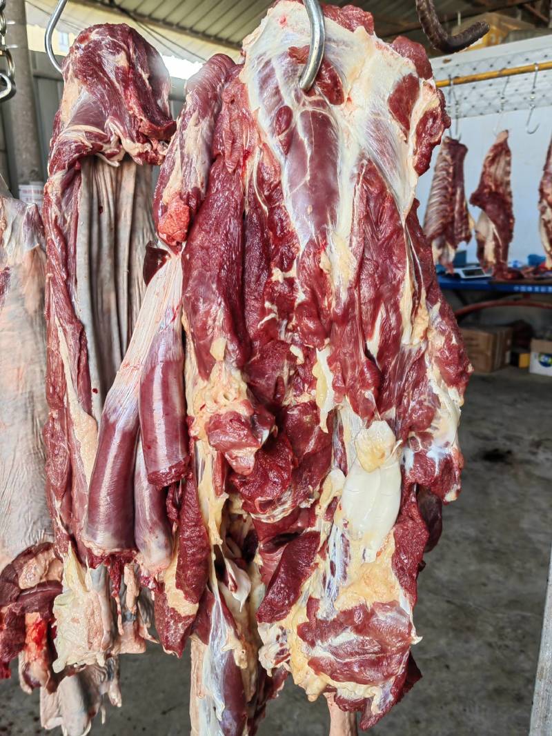 河北新鲜驴肉纯干驴肉正宗无注水自家屠宰场