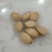银杏果仁