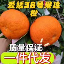 四川爱媛38号果冻橙套袋产地直发品质保证批发量大价优