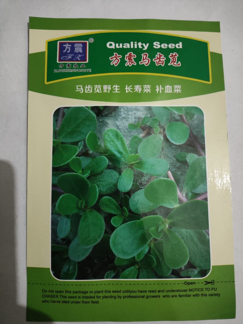 马齿苋种子荷兰直立大叶马齿苋野菜种籽马蜂菜籽蚂蚱菜种子