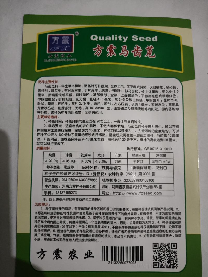 马齿苋种子荷兰直立大叶马齿苋野菜种籽马蜂菜籽蚂蚱菜种子